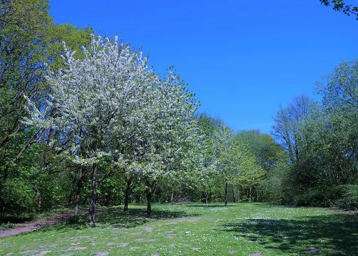 Panoramic Ostsee Fernblick 12 *